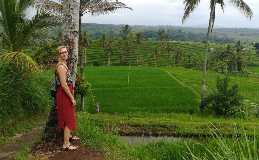 Rice terrace in Bali