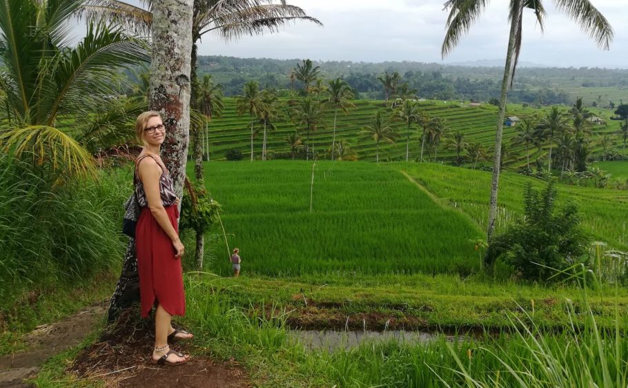 Rice terrace in Bali